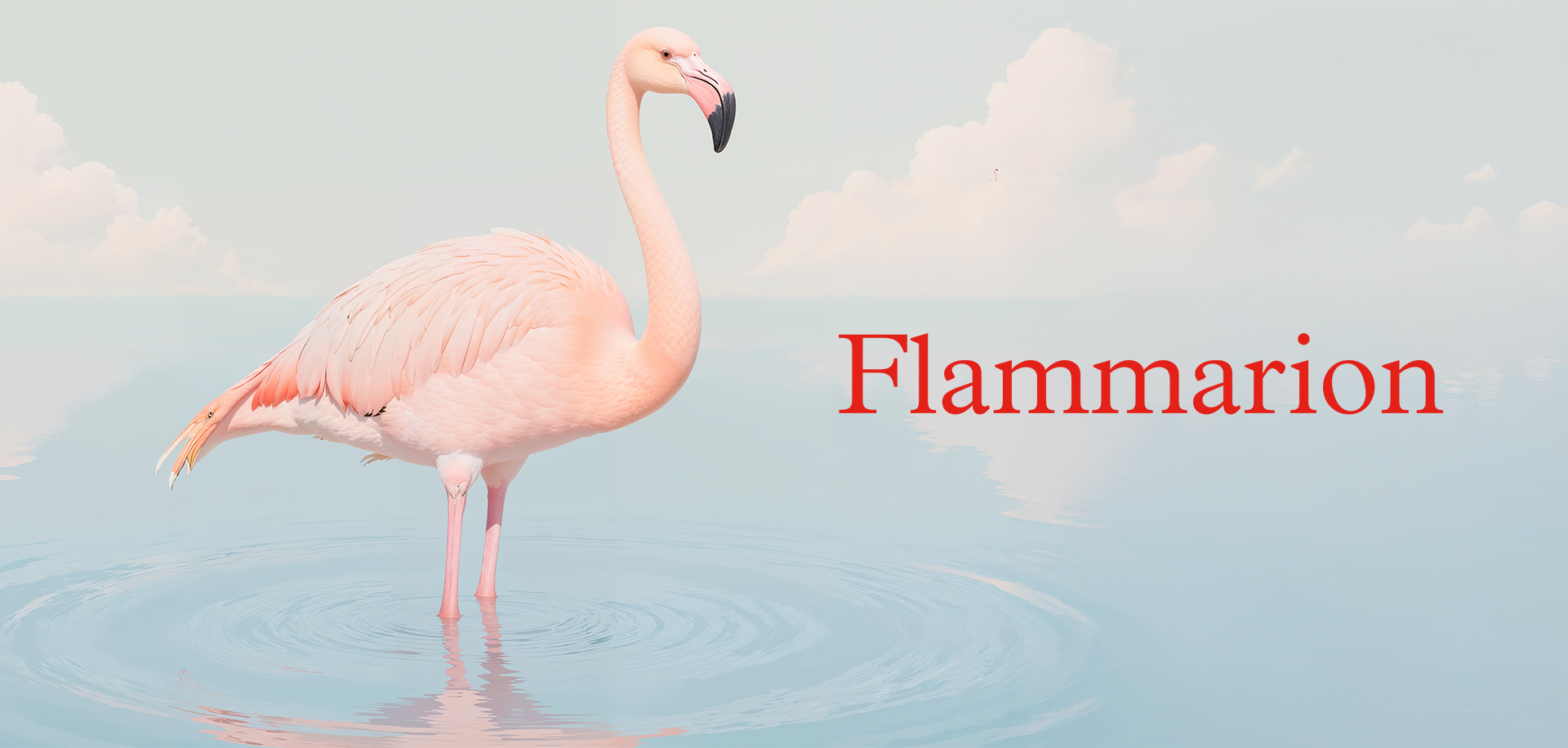 Flammarion : La meilleure façon de marcher est celle du flamant rose (Diane Ducret)
