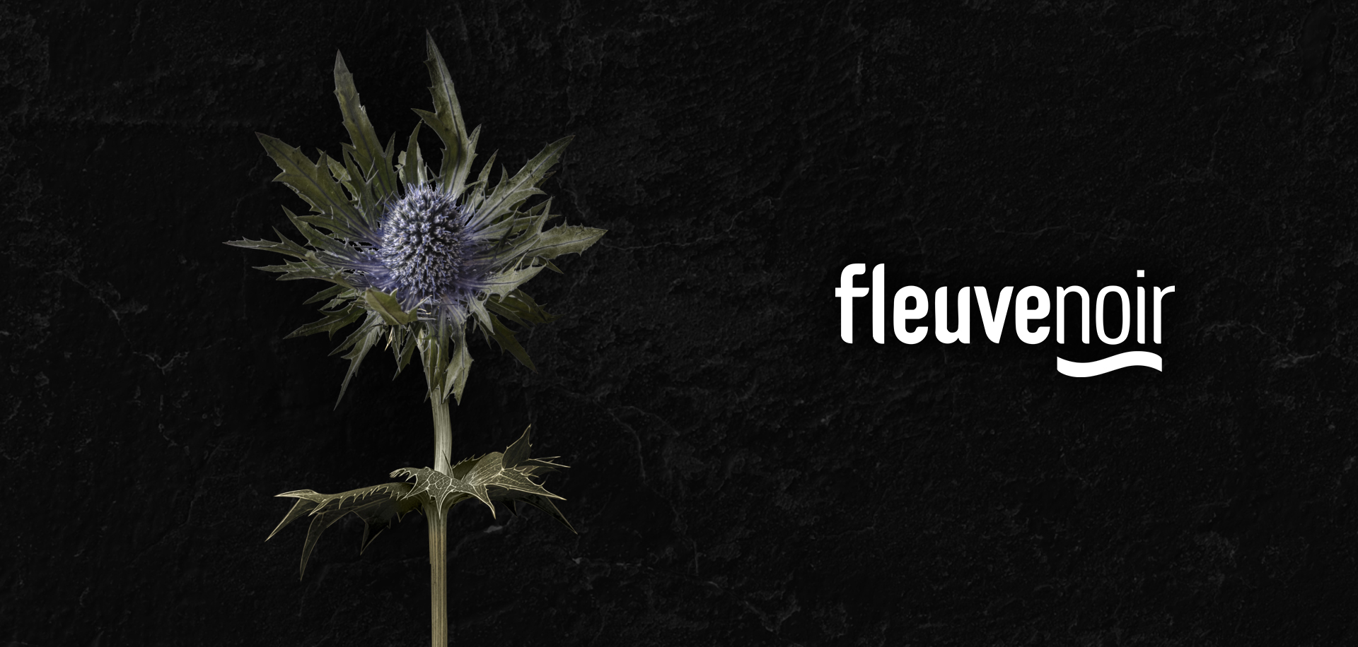 Le Silence de la ville blanche de Eva Garcia Saenz de Urturi