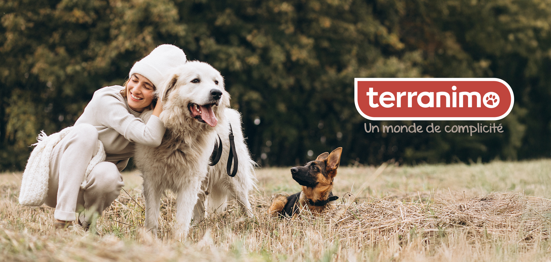 Terranimo