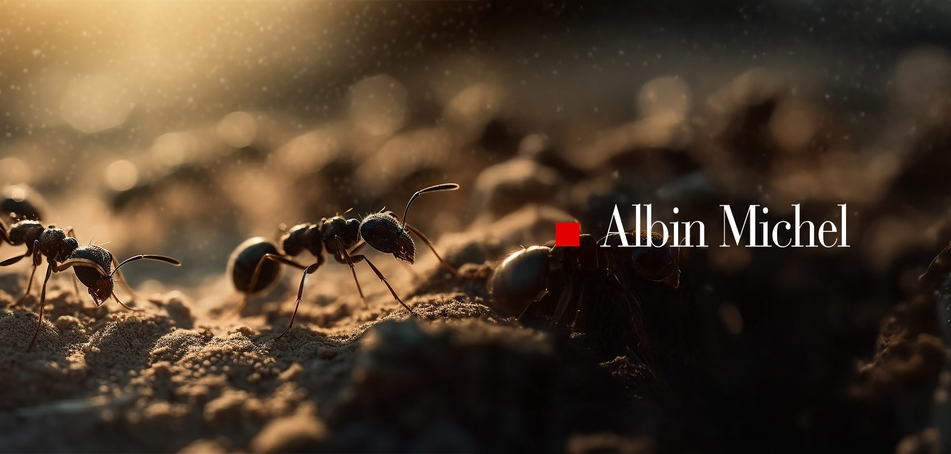 Mémoires d’une fourmi (Albin Michel)
