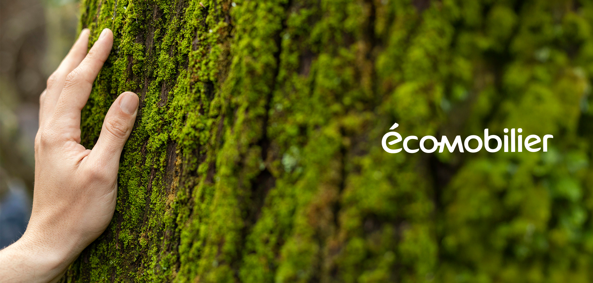 Eco-Mobilier