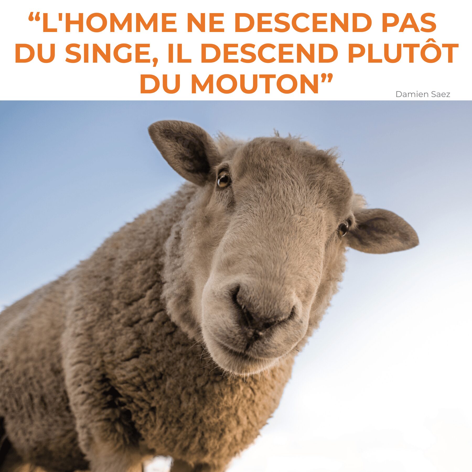 ÊTES-VOUS UN MOUTON POUR VOTRE COMMUNICATION ?