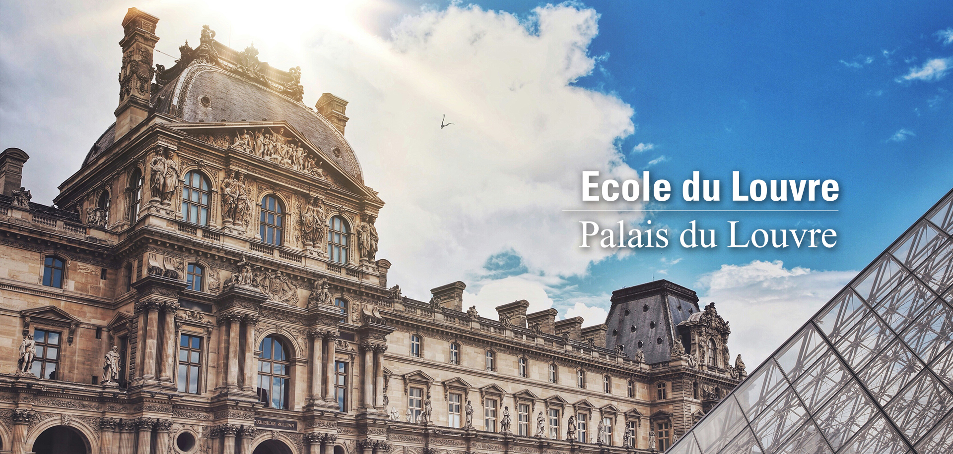Ecole du louvre – marché public